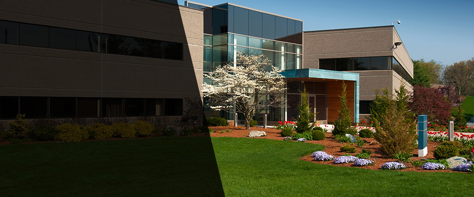 Three Oaks Landscapers