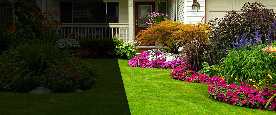 Three Oaks Landscapers