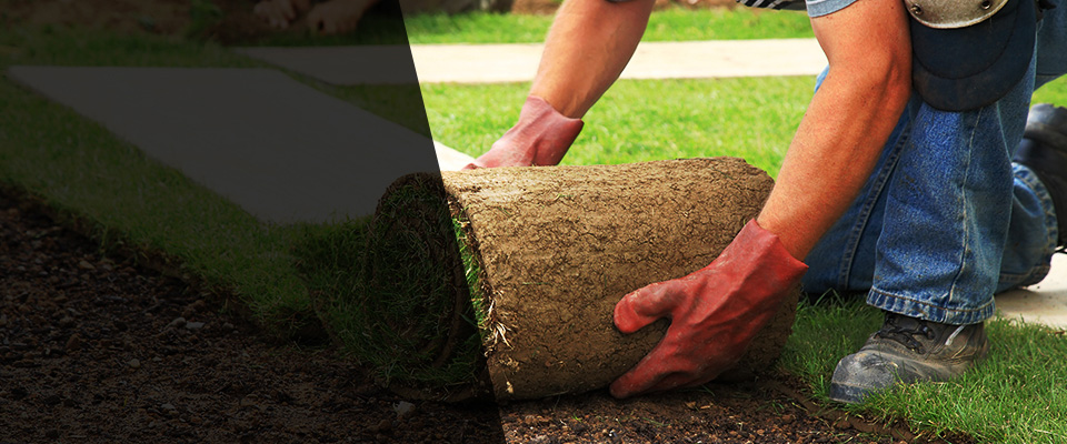 Three Oaks Landscapers